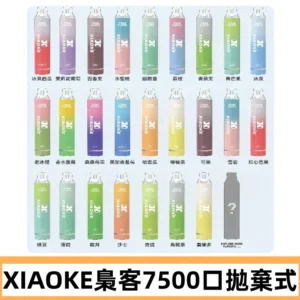 梟客XIAOKE|7500口可發光拋棄式電子煙 跑馬燈一次性